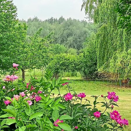 Les Chambres Du Vert Galant Rez De Jardin Verlinghem Buitenkant foto