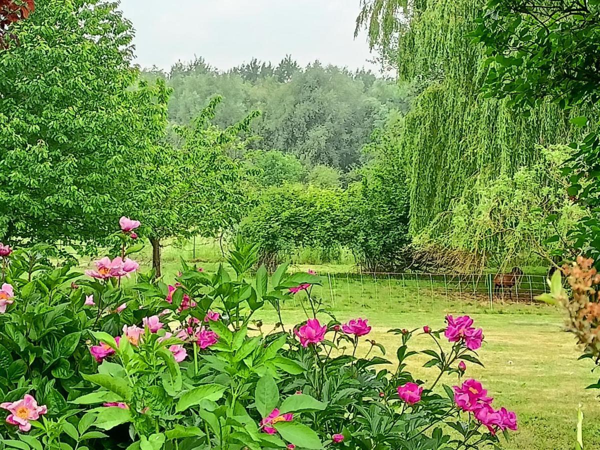 Les Chambres Du Vert Galant Rez De Jardin Verlinghem Buitenkant foto
